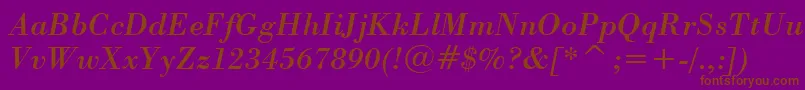 BodoniItalicBt Font – Brown Fonts on Purple Background