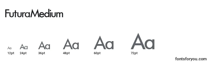 FuturaMedium Font Sizes