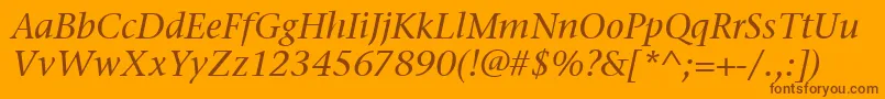 StoneSerifItcMediumItalic Font – Brown Fonts on Orange Background