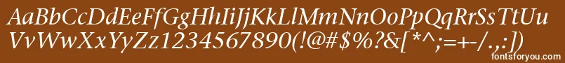 フォントStoneSerifItcMediumItalic – 茶色の背景に白い文字