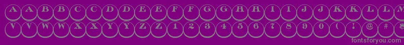 En savoir plus sur la police Discoserifdn3DRegular Police Discoserifdn3DRegular – polices grises sur fond violet