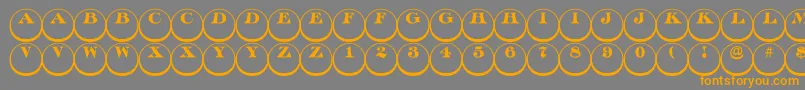 Discoserifdn3DRegular Font – Orange Fonts on Gray Background