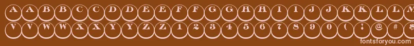 Discoserifdn3DRegular Font – Pink Fonts on Brown Background
