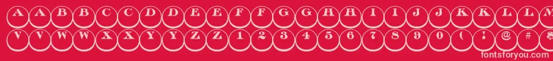 Discoserifdn3DRegular Font – Pink Fonts on Red Background
