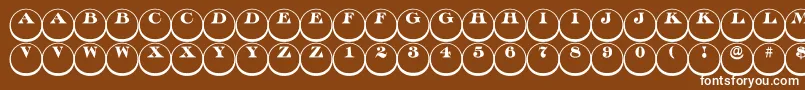 Discoserifdn3DRegular Font – White Fonts on Brown Background