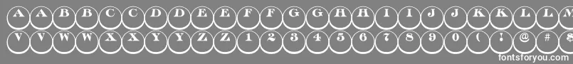 フォントDiscoserifdn3DRegular – 灰色の背景に白い文字
