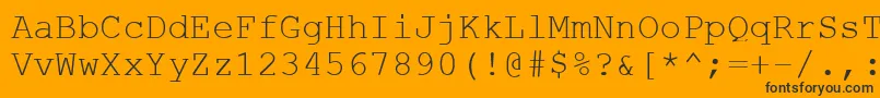 CourierStylus Font – Black Fonts on Orange Background
