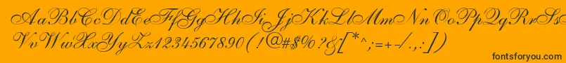 SarahallegrodbNormal Font – Black Fonts on Orange Background