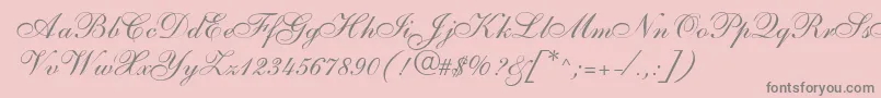 SarahallegrodbNormal Font – Gray Fonts on Pink Background