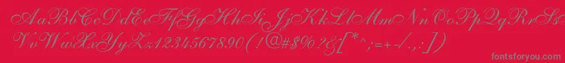 SarahallegrodbNormal Font – Gray Fonts on Red Background