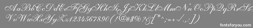 SarahallegrodbNormal Font – White Fonts on Gray Background