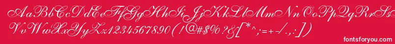 SarahallegrodbNormal Font – White Fonts on Red Background