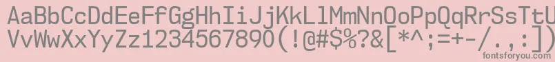 Nk57MonospaceScRg Font – Gray Fonts on Pink Background