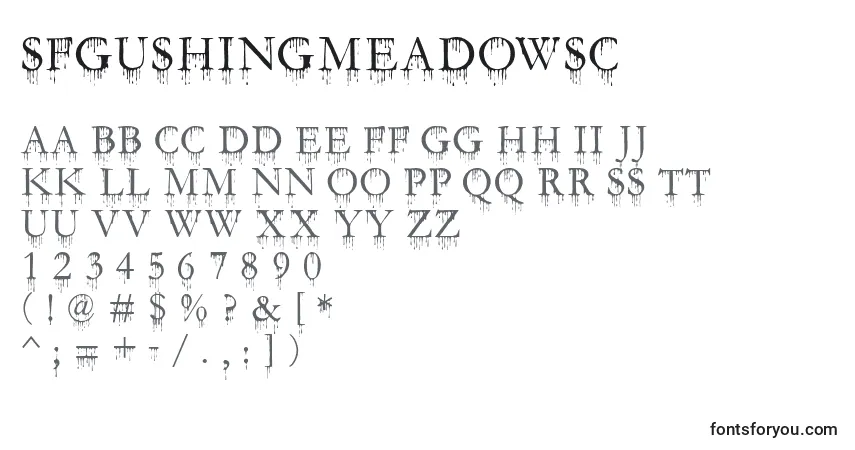 Шрифт SfGushingMeadowSc – алфавит, цифры, специальные символы