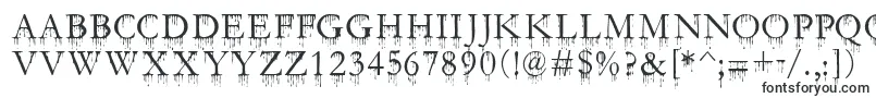 SfGushingMeadowSc-fontti – Serifeillä varustetut fontit