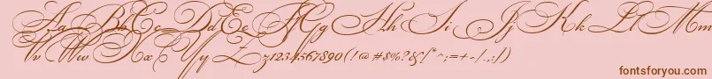BickhamScriptTwo Font – Brown Fonts on Pink Background