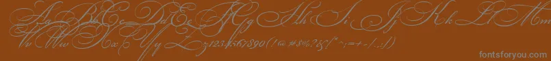 En savoir plus sur la police BickhamScriptTwo Police BickhamScriptTwo – polices grises sur fond brun