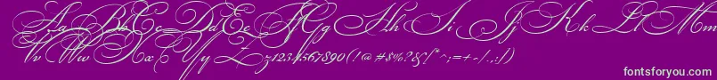 BickhamScriptTwo Font – Green Fonts on Purple Background