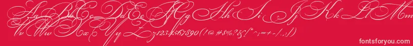 BickhamScriptTwo Font – Pink Fonts on Red Background