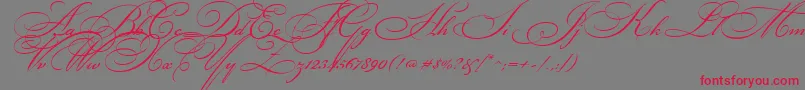 BickhamScriptTwo Font – Red Fonts on Gray Background