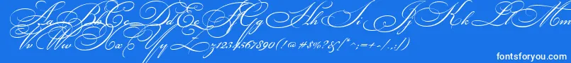 BickhamScriptTwo Font – White Fonts on Blue Background