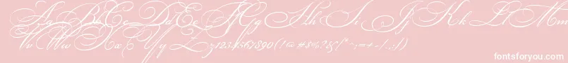 BickhamScriptTwo Font – White Fonts on Pink Background