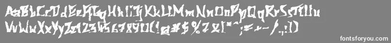 612kosheyplBold Font – White Fonts on Gray Background