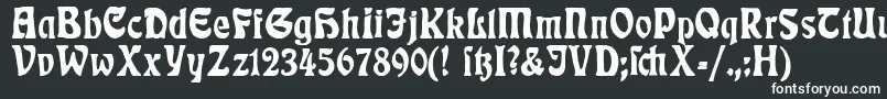 RudelsbergPlakatschrift-fontti – valkoiset fontit mustalla taustalla