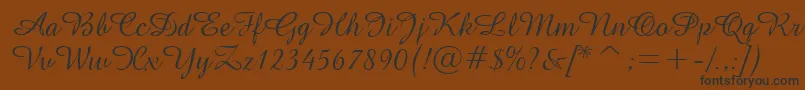 フォントGeAmazoniaScriptNormal – 黒い文字が茶色の背景にあります