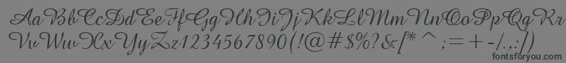 フォントGeAmazoniaScriptNormal – 黒い文字の灰色の背景