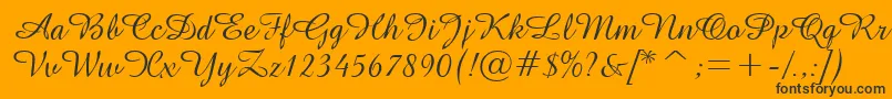 GeAmazoniaScriptNormal Font – Black Fonts on Orange Background