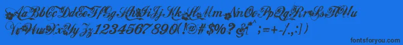 Hawaiilover Font – Black Fonts on Blue Background