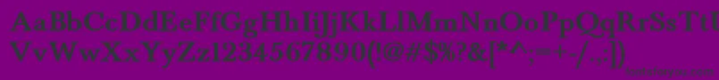 BaskervaldadfstdBold Font – Black Fonts on Purple Background