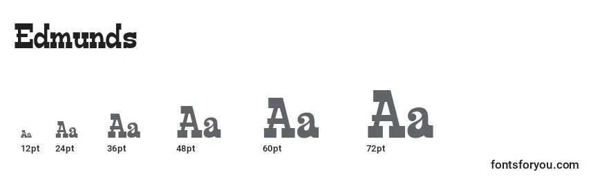 Edmunds Font Sizes