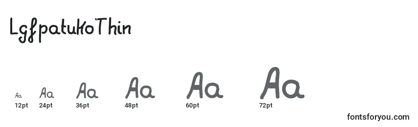 Размеры шрифта LgfpatukoThin