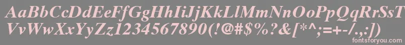 TimesTenLtBoldItalic Font – Pink Fonts on Gray Background