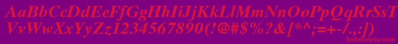 TimesTenLtBoldItalic Font – Red Fonts on Purple Background