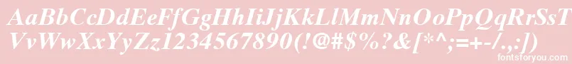 TimesTenLtBoldItalic Font – White Fonts on Pink Background