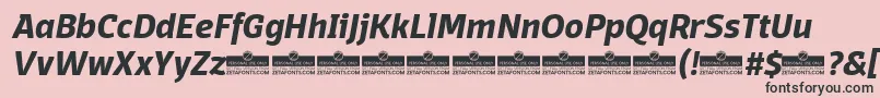 DomotikaBoldItalicTrial Font – Black Fonts on Pink Background