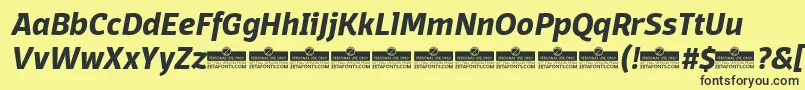 DomotikaBoldItalicTrial Font – Black Fonts on Yellow Background