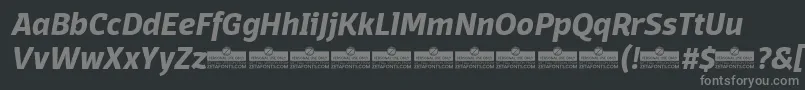 フォントDomotikaBoldItalicTrial – 黒い背景に灰色の文字