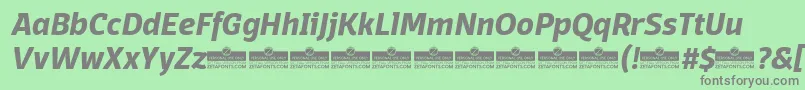 DomotikaBoldItalicTrial Font – Gray Fonts on Green Background