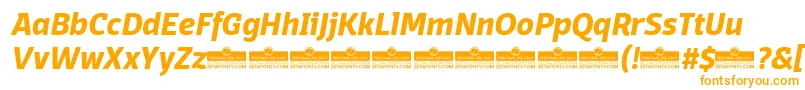 DomotikaBoldItalicTrial Font – Orange Fonts on White Background