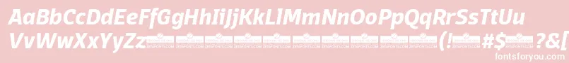 DomotikaBoldItalicTrial Font – White Fonts on Pink Background