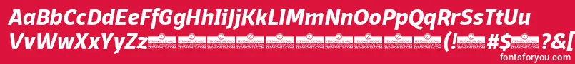 DomotikaBoldItalicTrial Font – White Fonts on Red Background