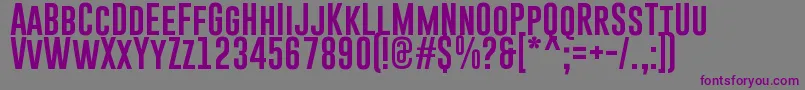 GoboldRegular Font – Purple Fonts on Gray Background