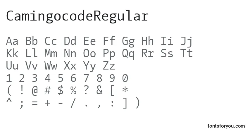 Czcionka CamingocodeRegular – alfabet, cyfry, specjalne znaki
