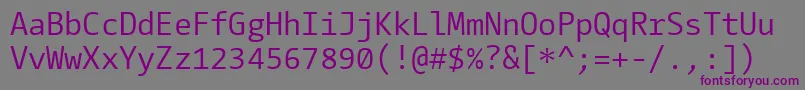 Шрифт CamingocodeRegular – фиолетовые шрифты на сером фоне