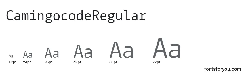 Размеры шрифта CamingocodeRegular