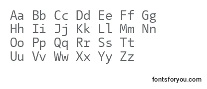 CamingocodeRegular Font